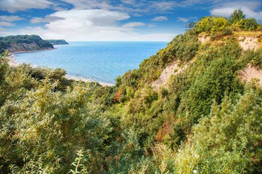 dik ile huzurlu seascape güneşli yaz günü bankalar