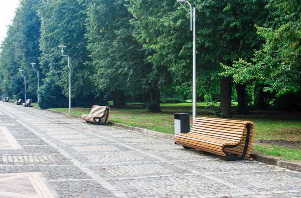 日当たりの良い夏の日に雨の後都市公園におけるモダンな黄色の庭のベンチ — ストック写真