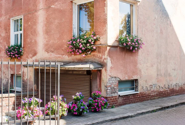 Parede Casa Velha Decorada Com Flores Dia Ensolarado Verão — Fotografia de Stock