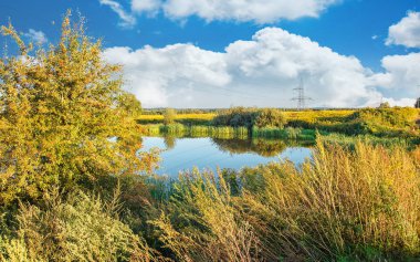 içinde belgili tanımlık geçmiş yaz gününde bulutlu gökyüzü ile küçük gölet ile güzel manzara