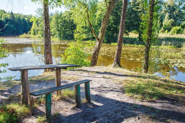 Szorstki Drewnianym Stole Pobliżu Jeziora Lesie Słoneczny Letni Dzień — Zdjęcie stockowe