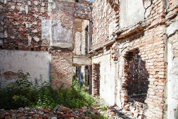abandoned brick house from the inside on summer day