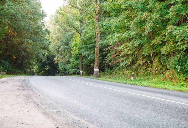 夏の日の出の森の中の新しいアスファルト道路 — ストック写真