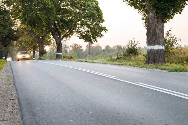 夏の日の出の森の中の新しいアスファルト道路 — ストック写真