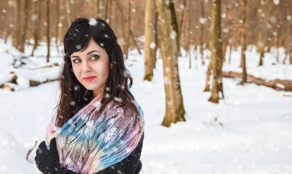 portrait of young beautiful woman walking in the forest on sunny winter day