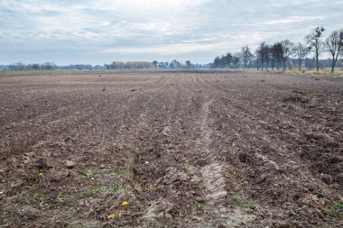 Ekim için sürülmüş alan