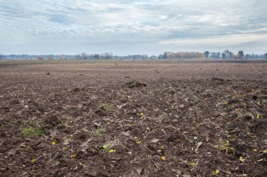 Ekim için sürülmüş alan
