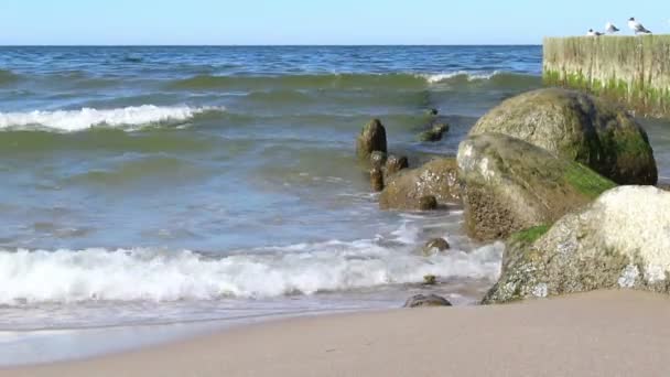 Sea Waves Break Breakwater Coast Sunny Day Closeup — Stock Video