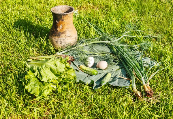 Овощи и яйца с коричневым кувшином на зеленой траве — стоковое фото
