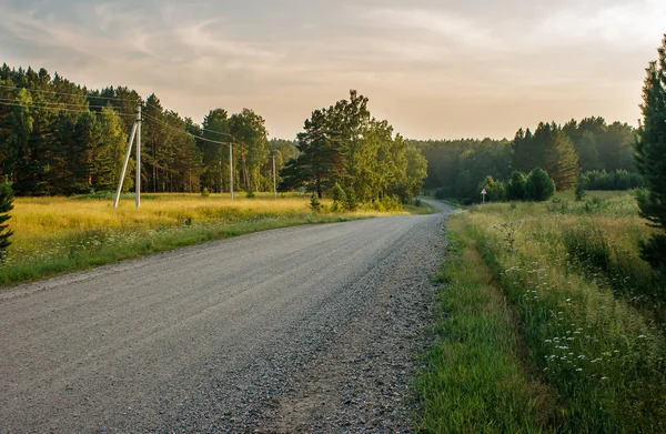 Strada Sterrata Nella Foresta Siberia Russa Tramonto Estivo — Foto Stock