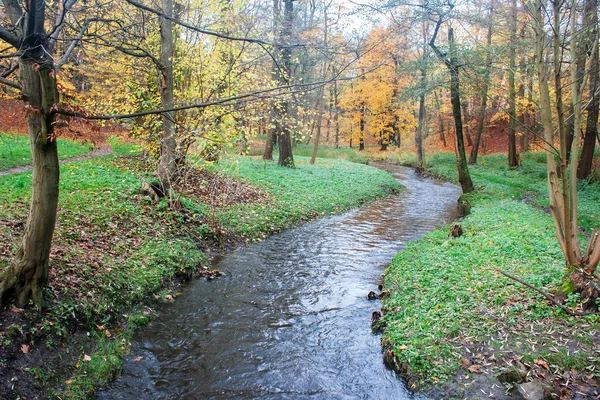 Creek na floresta de outono — Fotografia de Stock