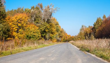 ormanda yeni modern asfalt yol
