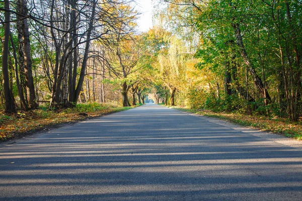 Nova estrada de asfalto moderno na floresta — Fotografia de Stock