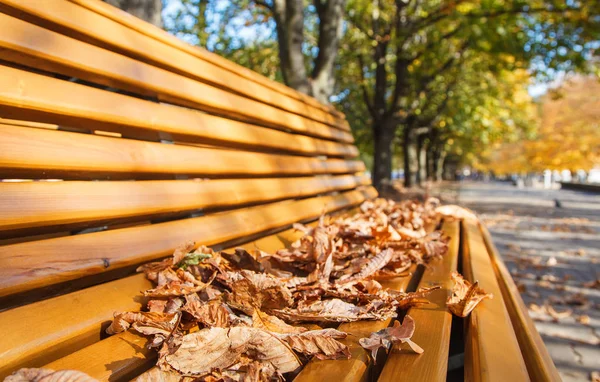 Panca da giardino con foglie gialle in autunno — Foto Stock