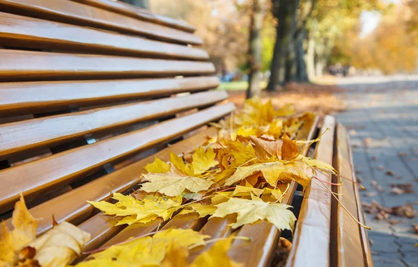 秋天黄叶的花园长椅 — 图库照片