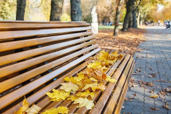 秋天黄叶的花园长椅 — 图库照片