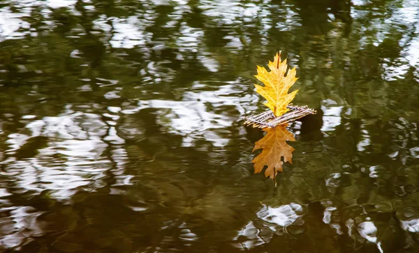 Spielzeugfloß mit einem auf dem See treibenden Segel — Stockfoto