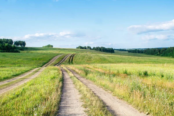 Дорога в поле — стоковое фото