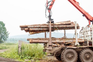 çam günlükleri ulaşımiçin hazır