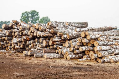huş günlükleri ulaşım için hazır