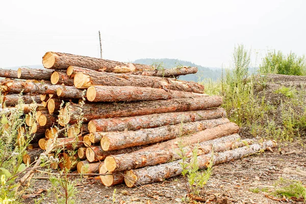 çam günlükleri ulaşımiçin hazır