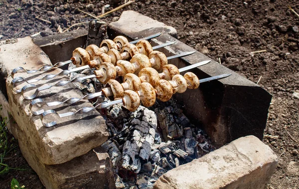 夏の日に屋外の暖炉の上で揚げたシャピニョンキノコ — ストック写真
