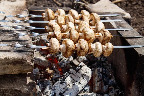 夏の日に屋外の暖炉の上で揚げたシャピニョンキノコ — ストック写真