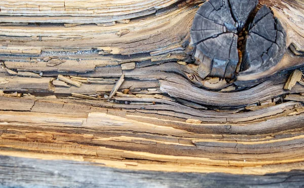 Old Gray Cracked Weathered Board Outdoor Closeup — Stock Photo, Image