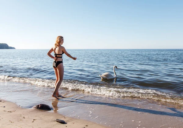 Mladá Dívka Černém Plavky Krmí Labuť Pobřeží Slunné Letní Den — Stock fotografie