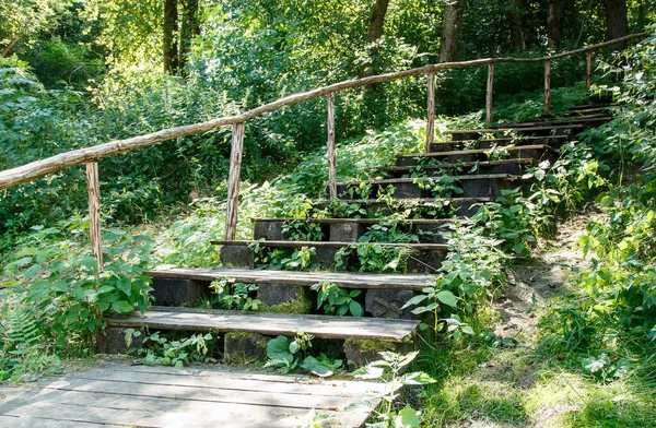 Viejas Escaleras Madera Parque Brillante Día Verano Soleado —  Fotos de Stock