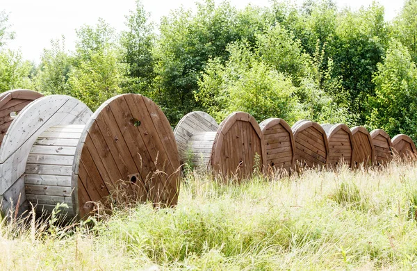 Flera Stora Träspolar Skogen Solig Sommardag — Stockfoto