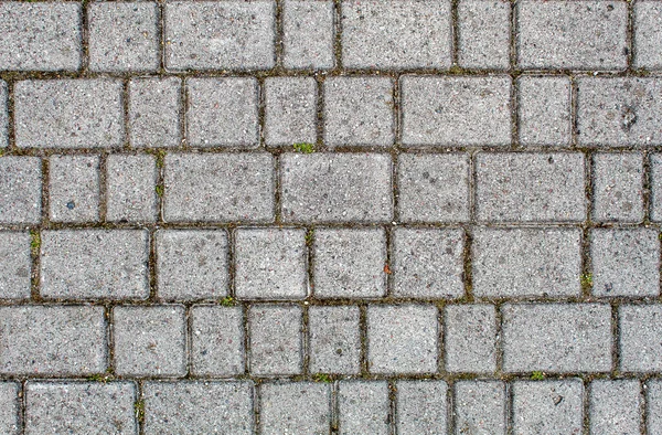 Väg Asfalterad Med Trottoarplattor Vacker Tegel Bakgrund Med Murverk Konsistens — Stockfoto