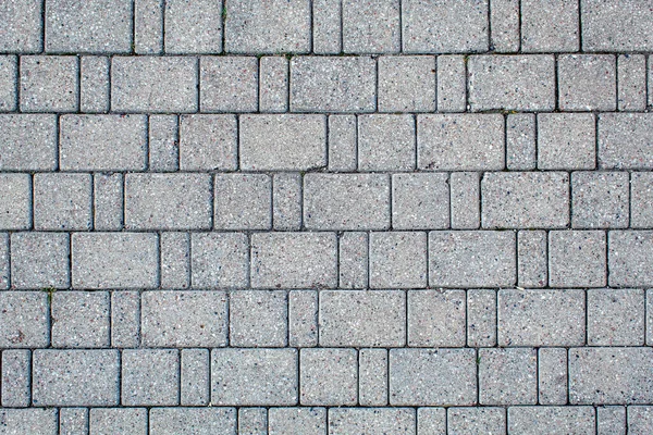 Road Paved Sidewalk Tiles Beautiful Brick Background Masonry Texture Light — Stock Photo, Image
