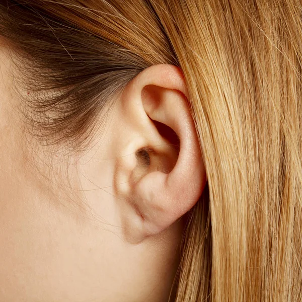 Detail des Kopfes mit weiblichem menschlichen Ohr und Haaren in Nahaufnahme — Stockfoto