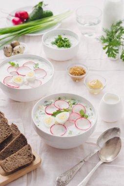 Kolay sebze yemekleri. Geleneksel yaz soğuk çorbası masada beyaz kâselerde..