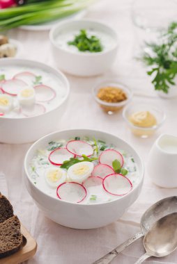 Geleneksel yaz sebze çorbası.