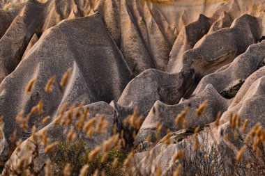 Gül Vadisi Göreme, Türkiye yakın
