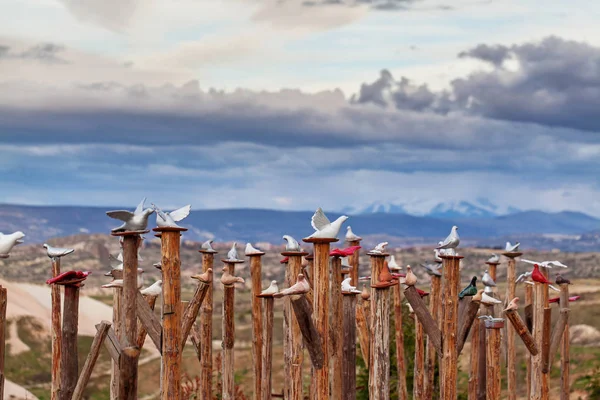 Декоративні голуби поблизу Uchisar — стокове фото