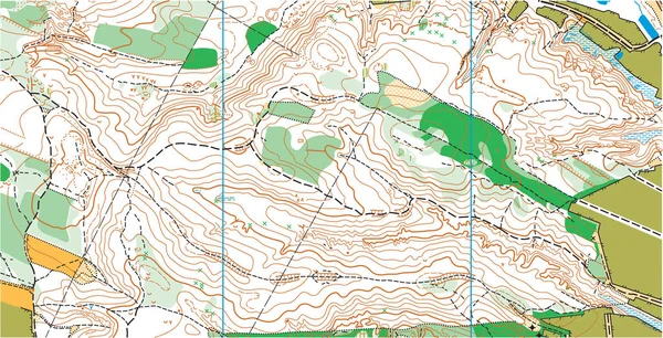 Mapa topográfico de vector de color abstracto altamente detallado — Archivo Imágenes Vectoriales