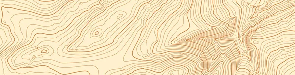 Mapa topográfico vectorial abstracto en colores marrones — Vector de stock