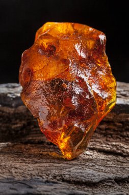Doğal Amber. Taşlı ahşap parçası üzerinde sarı ve kırmızı yarı şeffaf doğal Amber bir parçası.