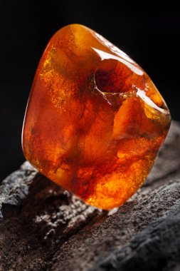 Doğal Amber. Taşlı ahşap parçası üzerinde sarı ve kırmızı yarı şeffaf doğal Amber bir parçası.