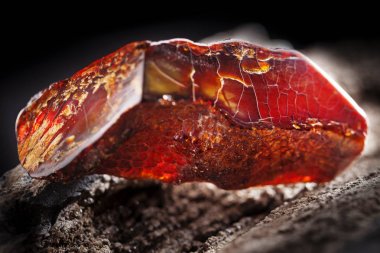 Doğal Amber. Taşlı ahşap parçası üzerinde koyu kırmızı yarı şeffaf doğal Amber bir parçası.