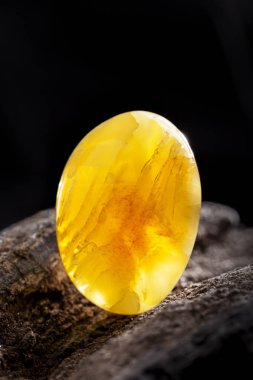 Doğal Amber. Koyu taşlı ahşap büyük parça üzerinde sarı opak doğal Amber bir parçası.