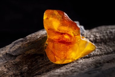 Doğal Amber. Taşlı ahşap parçası üzerinde sarı ve kırmızı yarı şeffaf doğal Amber bir parçası.