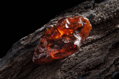 Doğal Amber. Taşlı ahşap parçası üzerinde sarı ve kırmızı yarı şeffaf doğal Amber bir parçası.