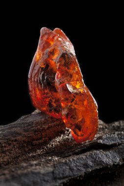 Doğal Amber. Taşlı ahşap parçası üzerinde sarı ve kırmızı yarı şeffaf doğal Amber bir parçası.