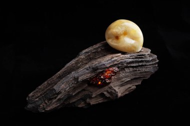 Doğal Amber. Koyu taşlı ahşap büyük parça üzerinde sarı opak doğal Amber bir parçası.