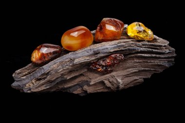Natural amber. Several pieces of different colors of natural amber on large piece of stoned wood. clipart