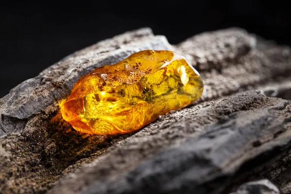 Âmbar natural. Um pedaço de amarelo transparente âmbar natural em grande pedaço de madeira escura apedrejada . — Fotografia de Stock